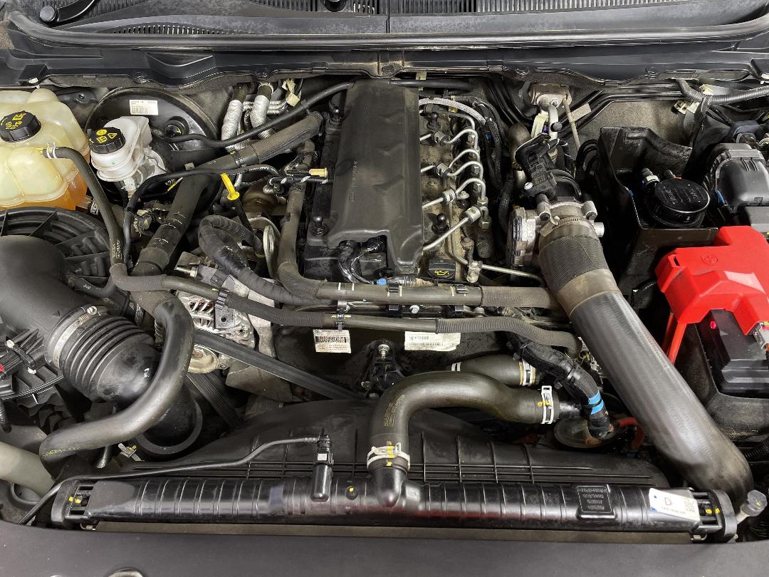 Photo '13' of Ford Ranger