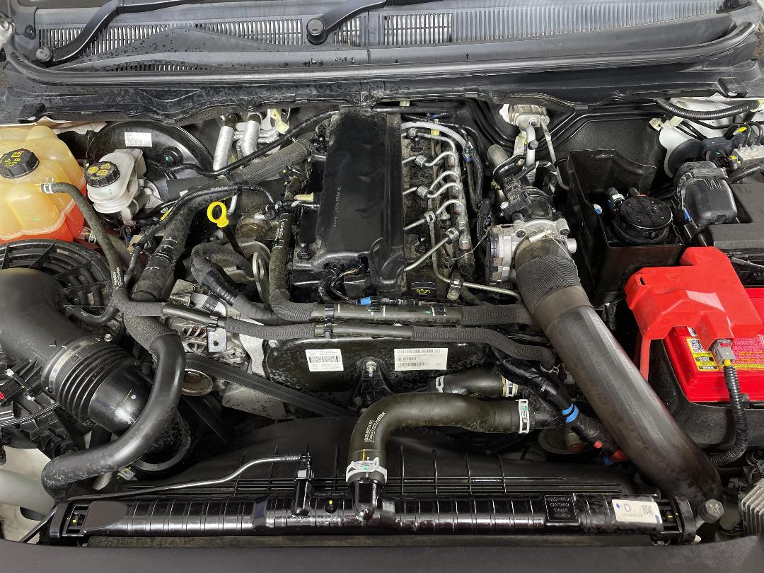 Photo '13' of Ford Ranger Photo '13' of Ford Ranger