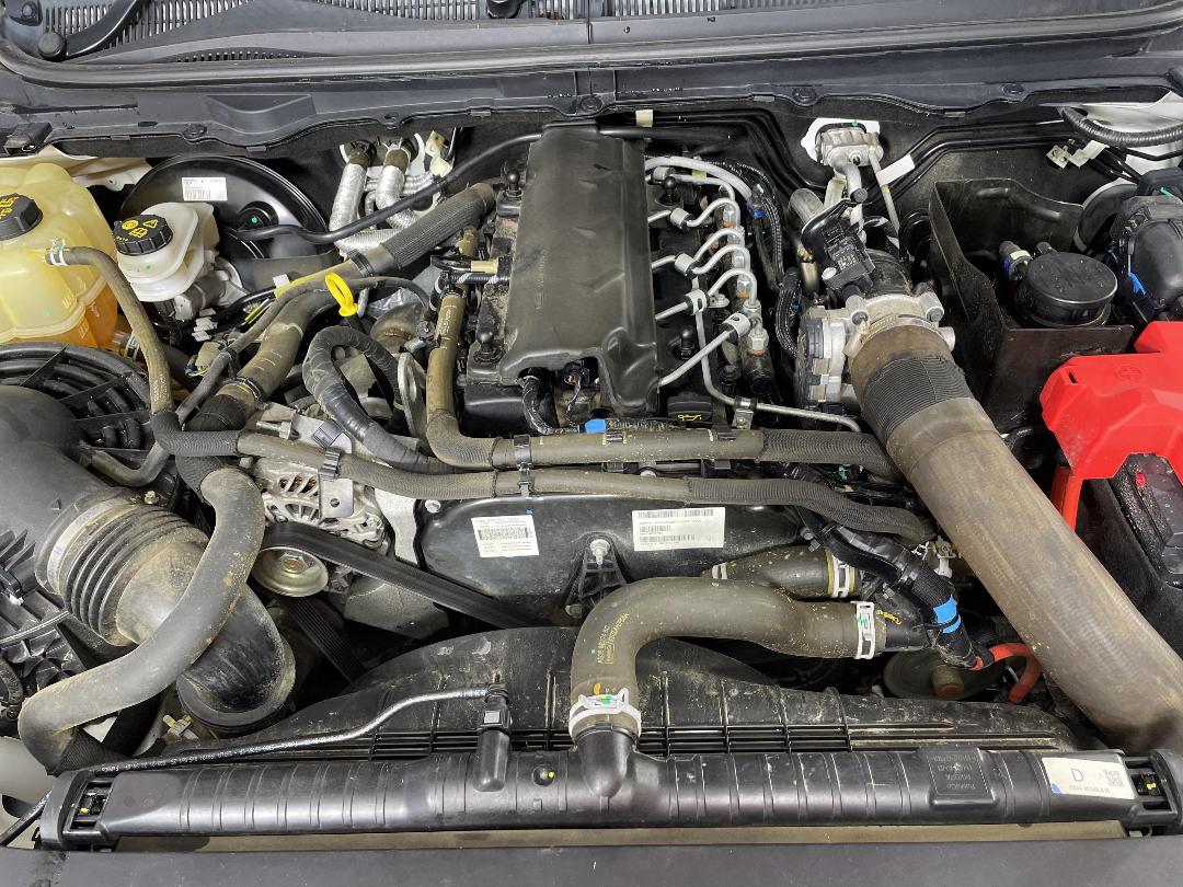 Photo '13' of Ford Ranger