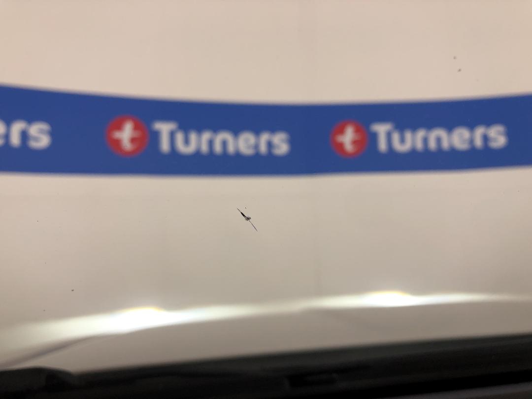 Photo '27' of Ford Ranger