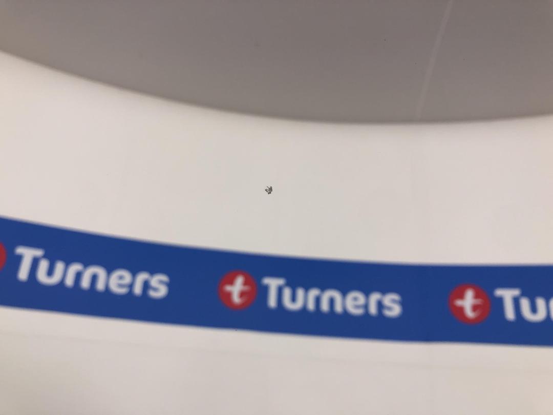 Photo '23' of Ford Ranger