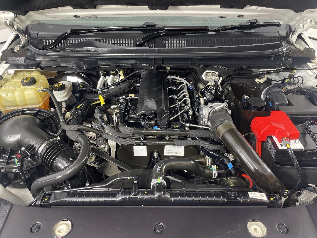 Photo '13' of Ford Ranger