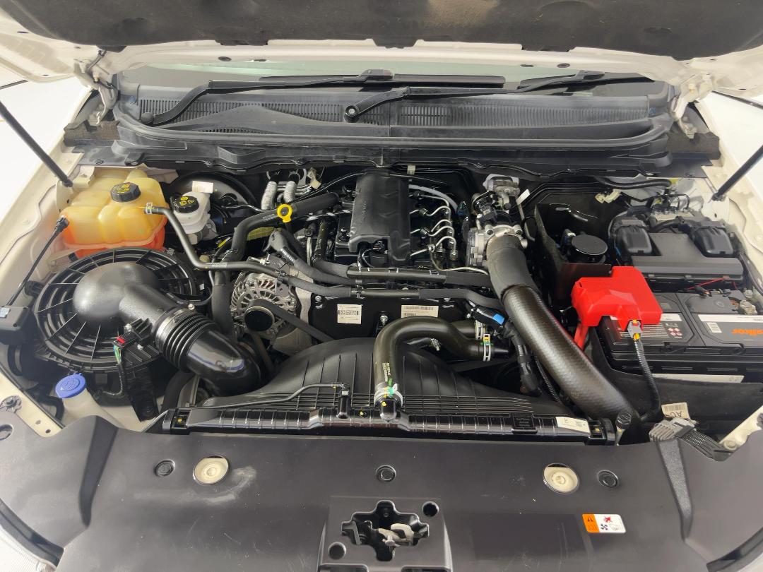 Photo '13' of Ford Ranger