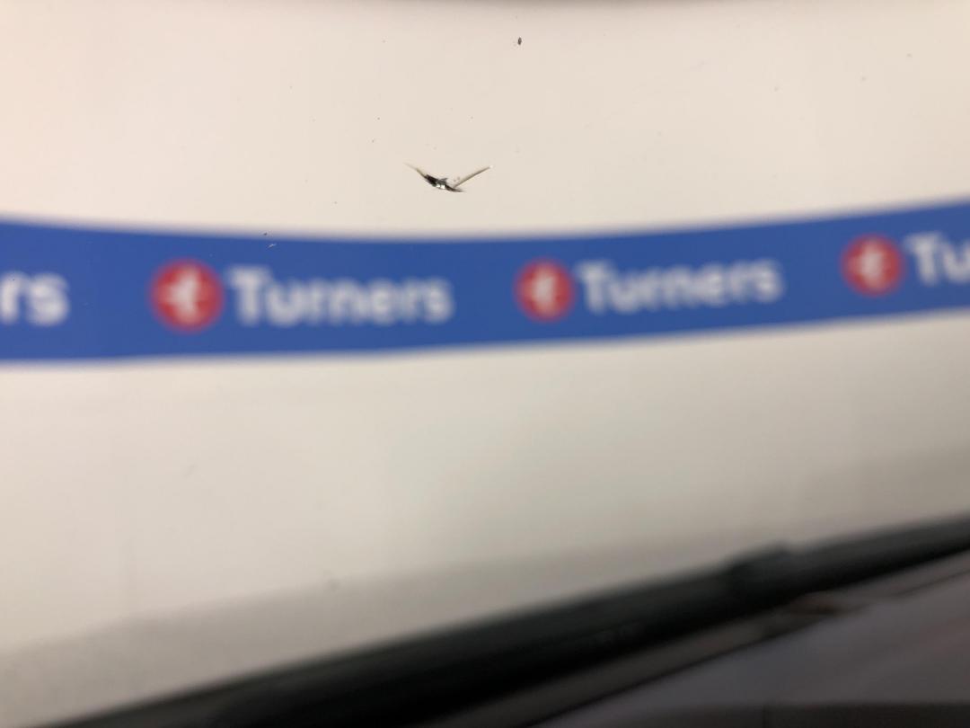 Photo '26' of Ford Ranger