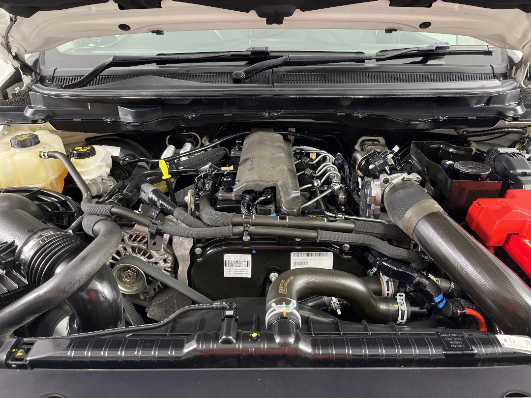 Photo '13' of Ford Ranger