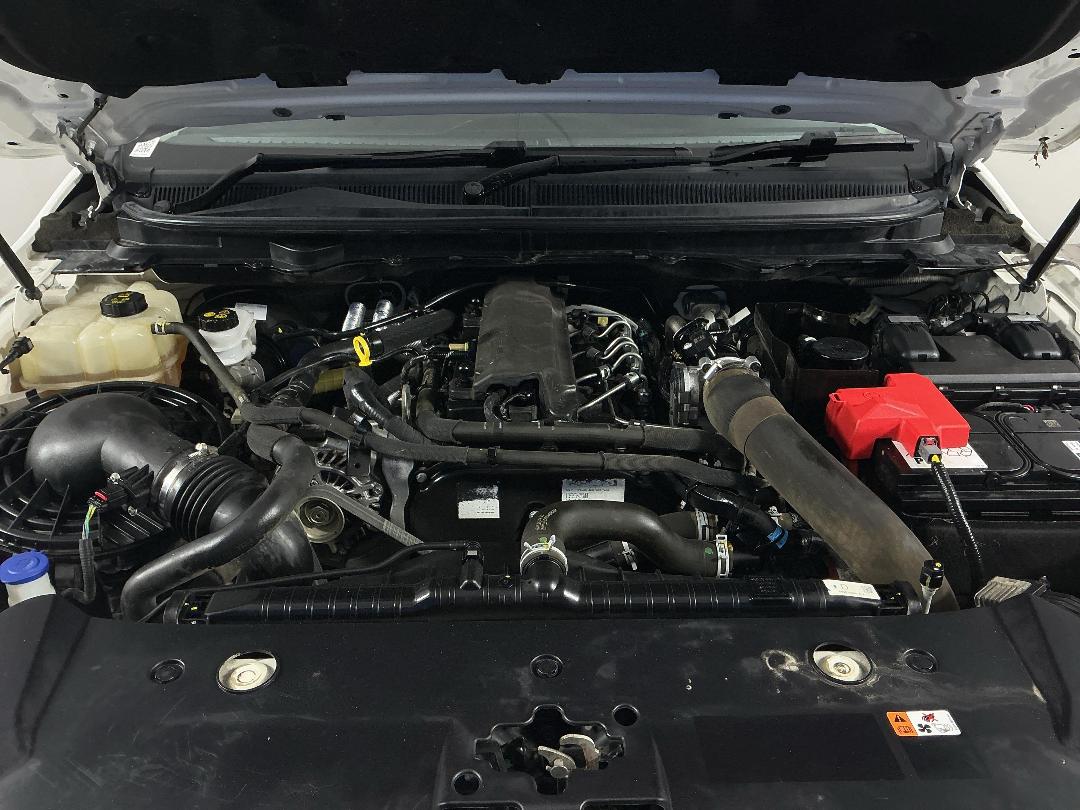 Photo '13' of Ford Ranger