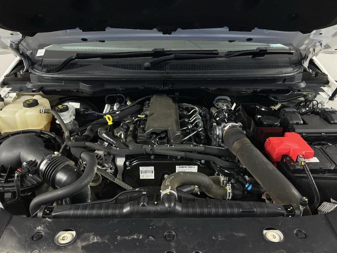 Photo '13' of Ford Ranger