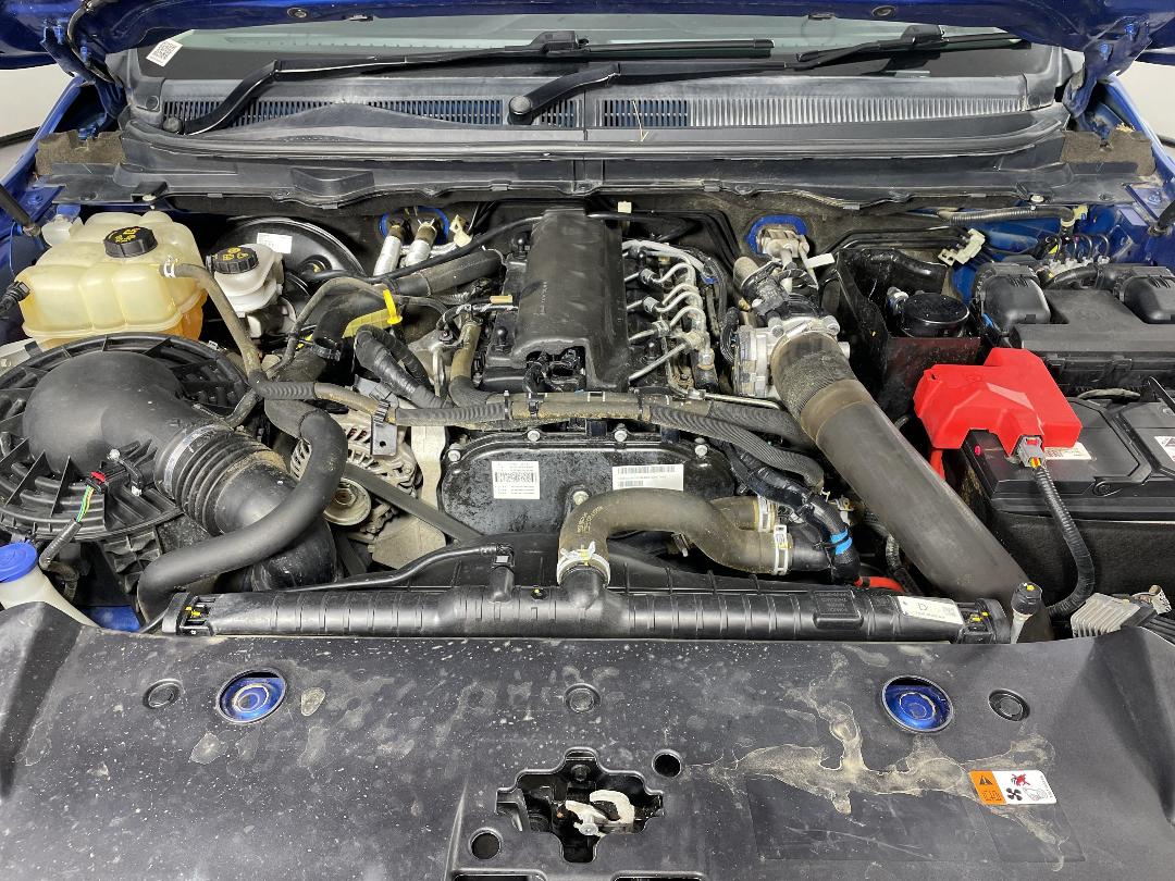 Photo '13' of Ford Ranger