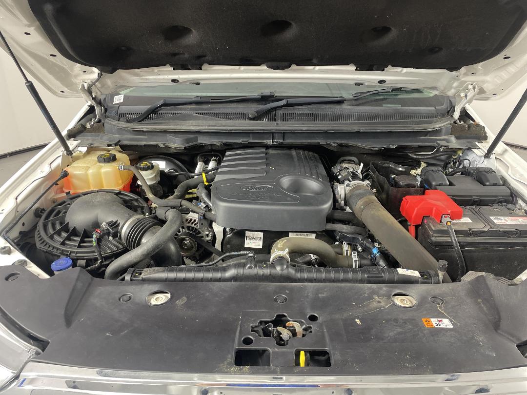 Photo '13' of Ford Ranger Photo '13' of Ford Ranger