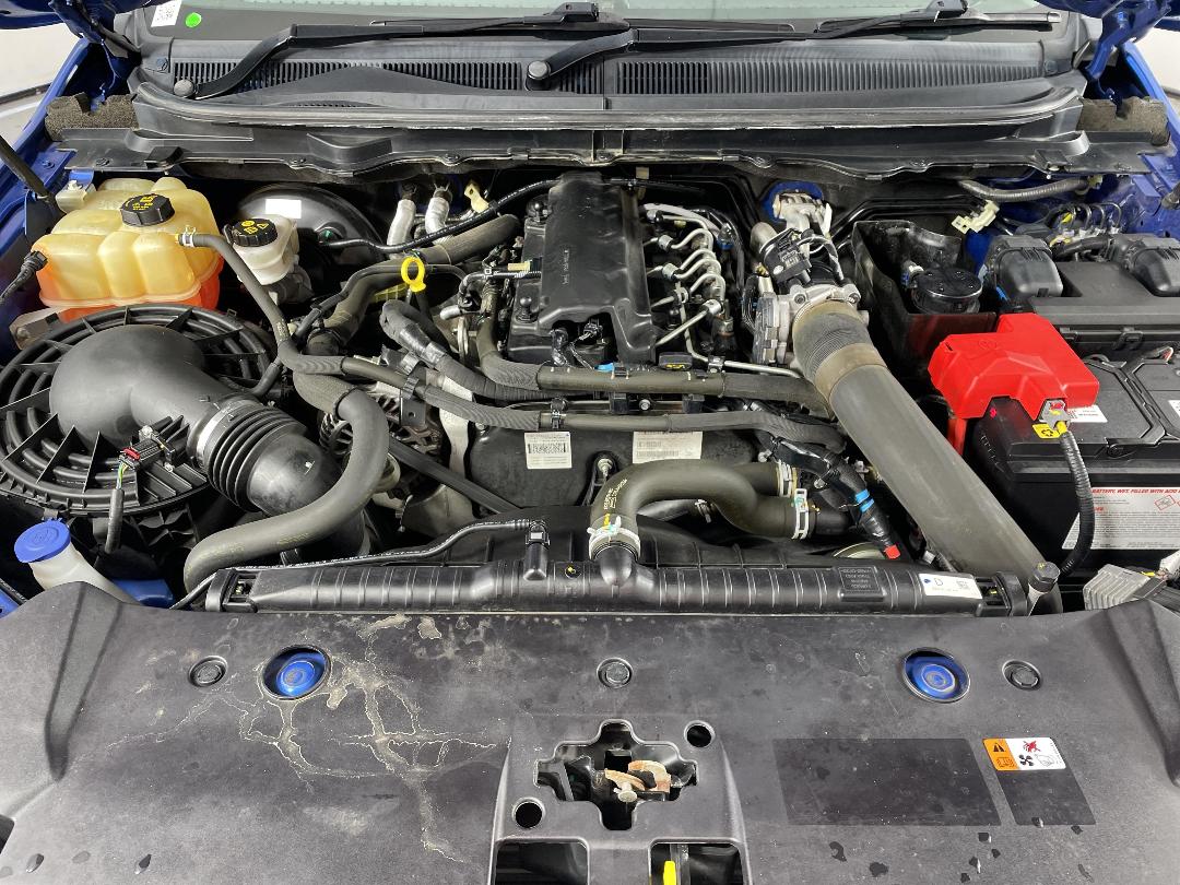 Photo '13' of Ford Ranger