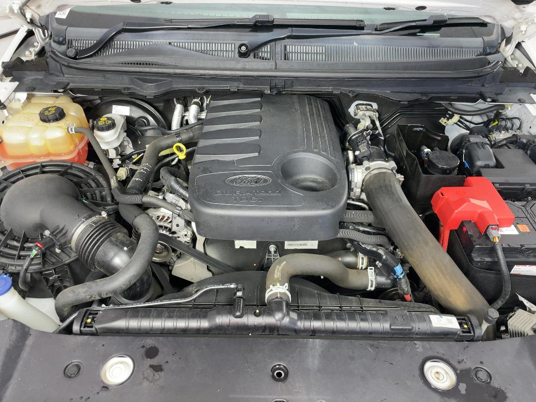 Photo '13' of Ford Ranger