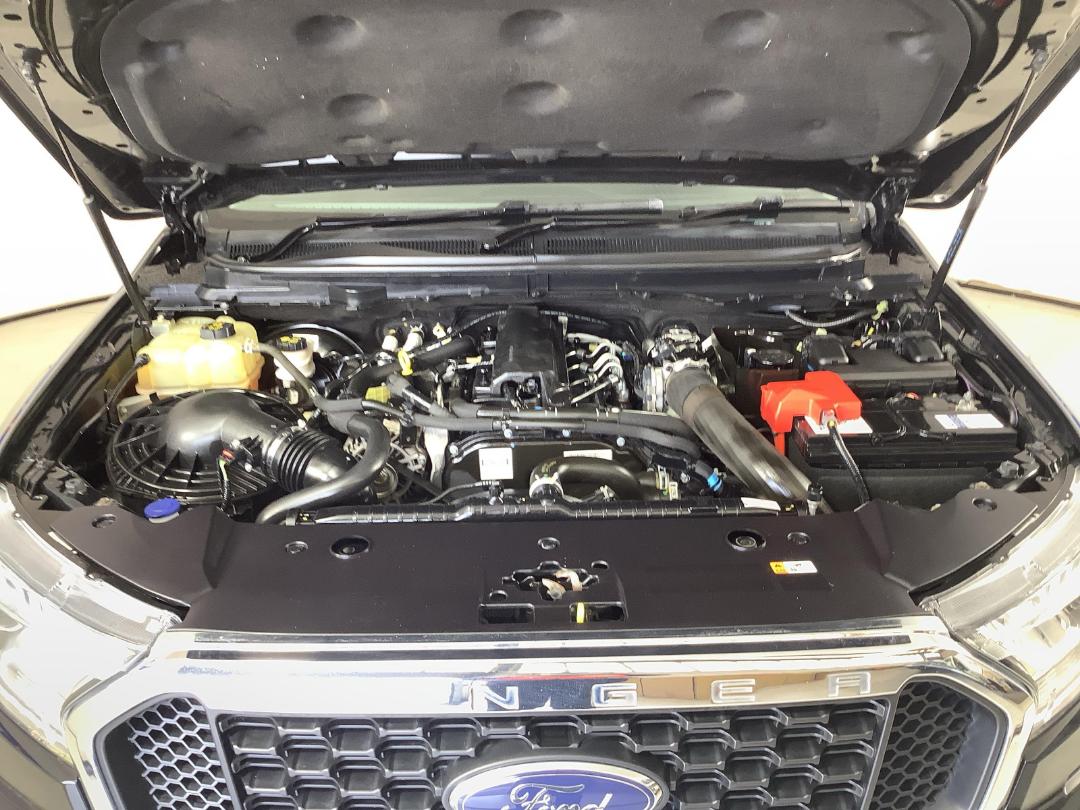 Photo '13' of Ford Ranger