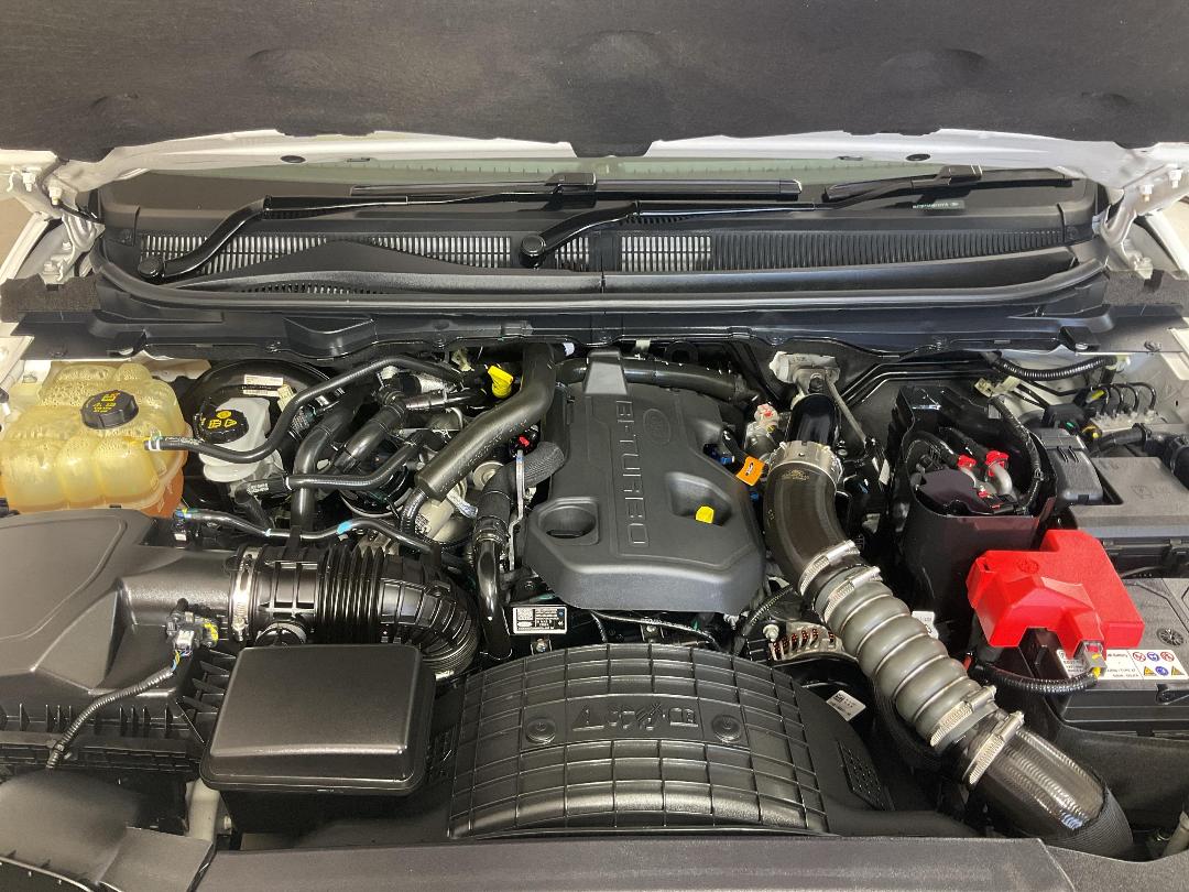 Photo '13' of Ford Ranger