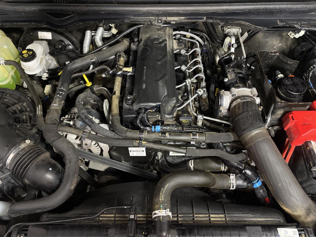 Photo '13' of Ford Ranger