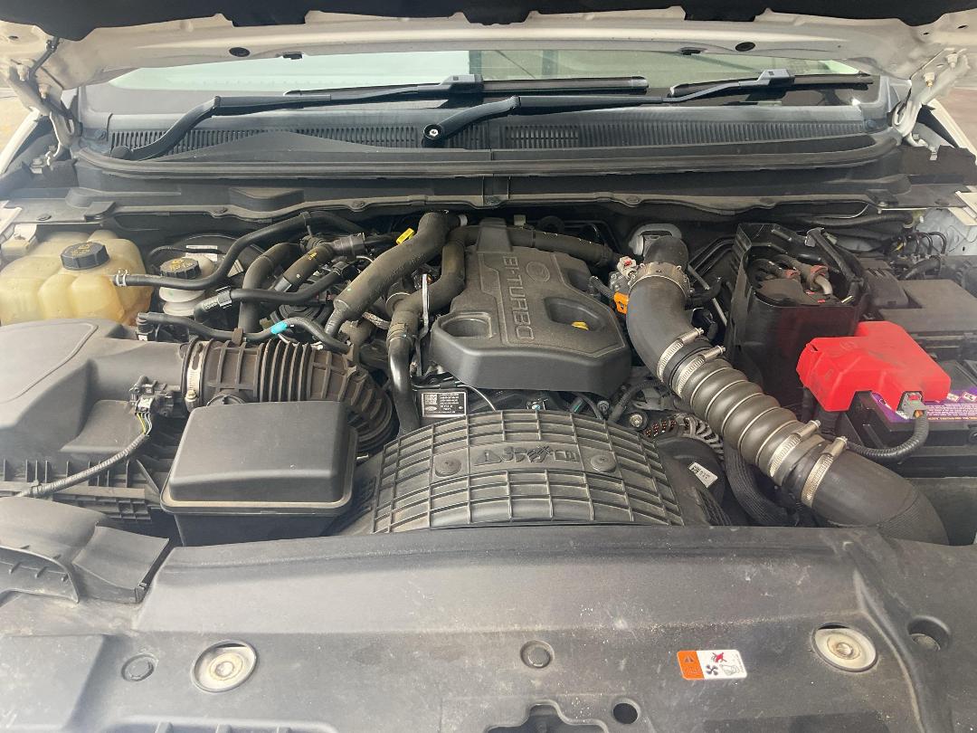 Photo '15' of Ford Ranger XLT Double CAB W/S