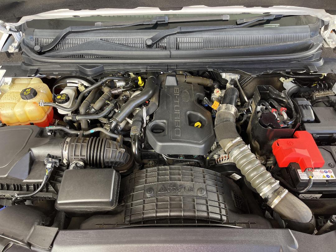 Photo '13' of Ford Ranger