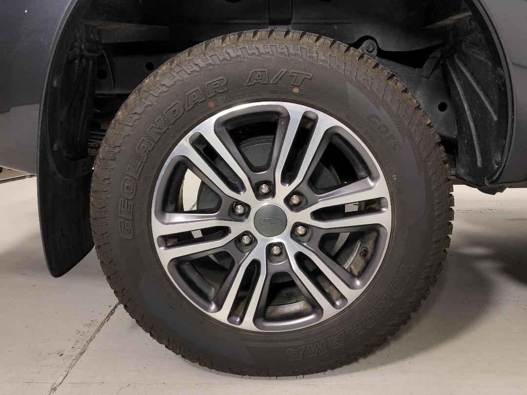 Photo '12' of Ford Ranger Photo '12' of Ford Ranger