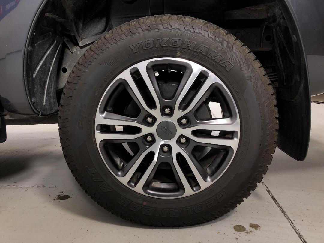 Photo '11' of Ford Ranger Photo '11' of Ford Ranger