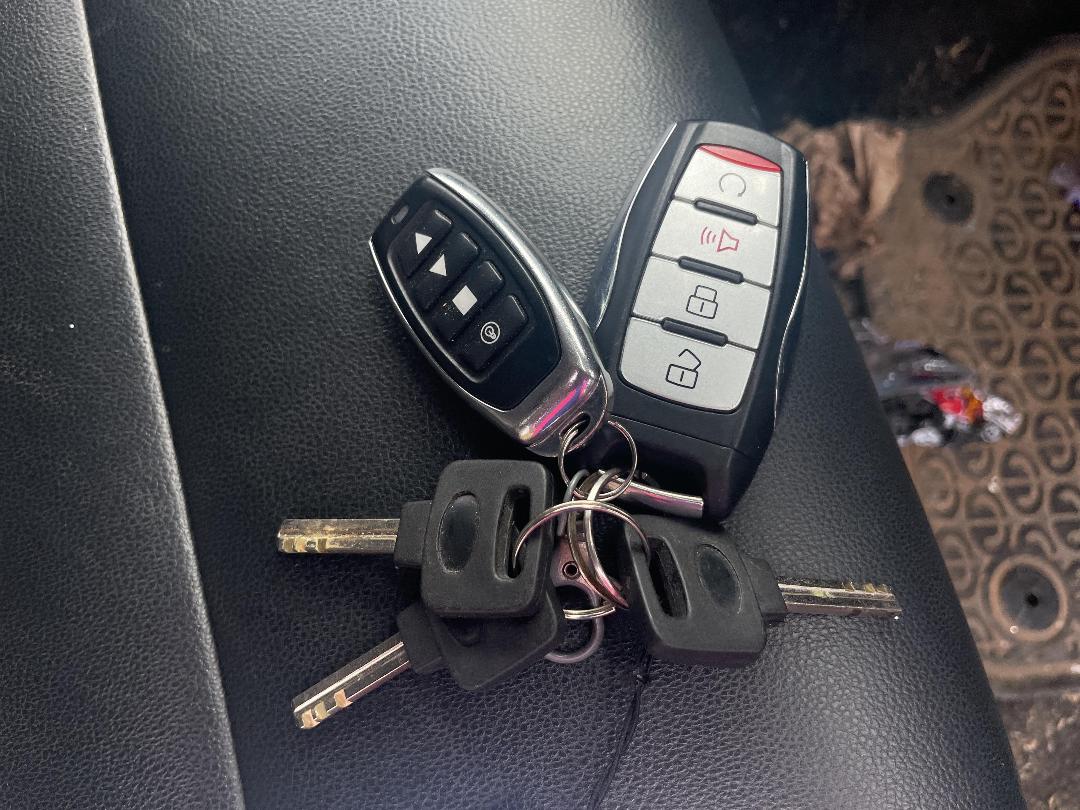 Photo '13' of Great Wall GWM Cannon Luxury 4X4