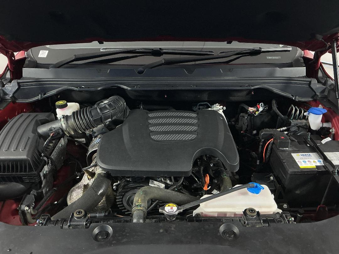 Photo '13' of Great Wall GWM Cannon