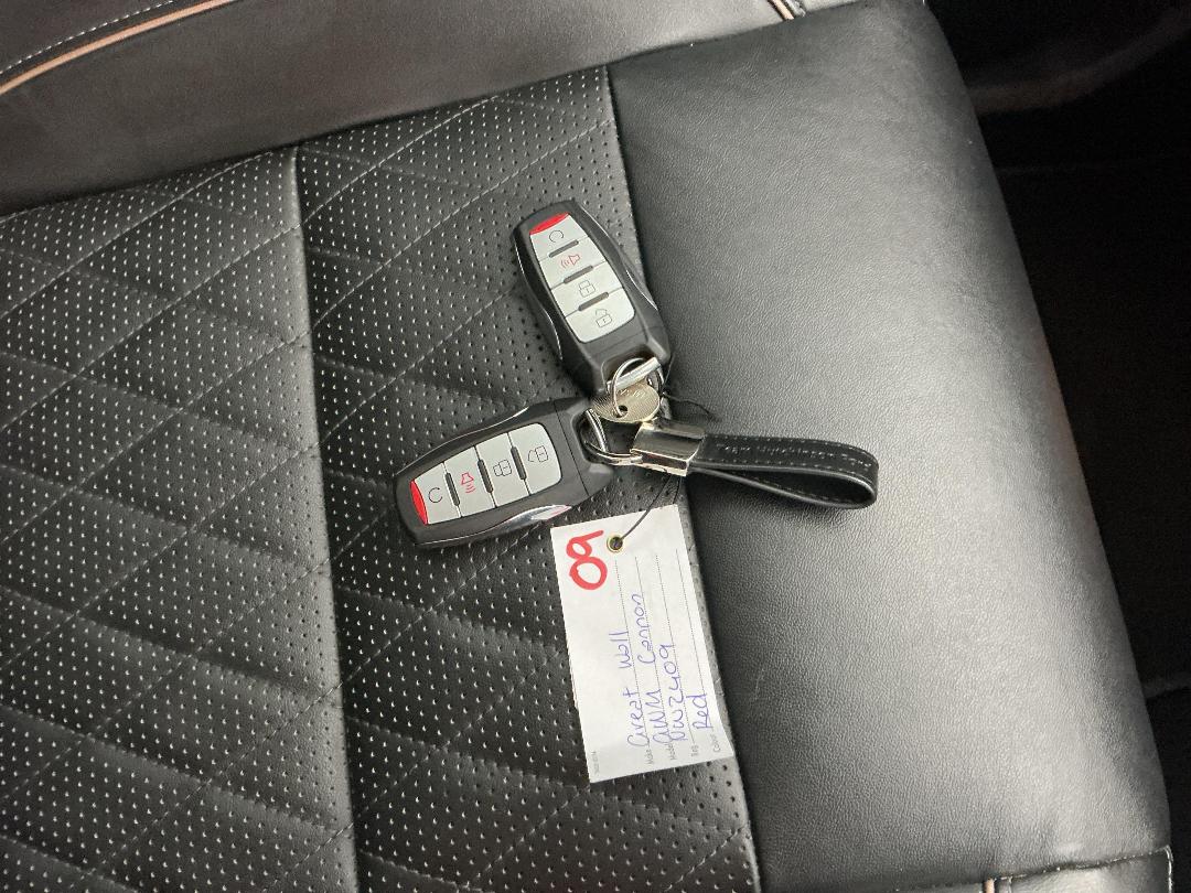 Photo '22' of Great Wall GWM Cannon