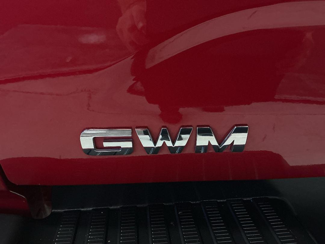 Photo '29' of Great Wall GWM Cannon