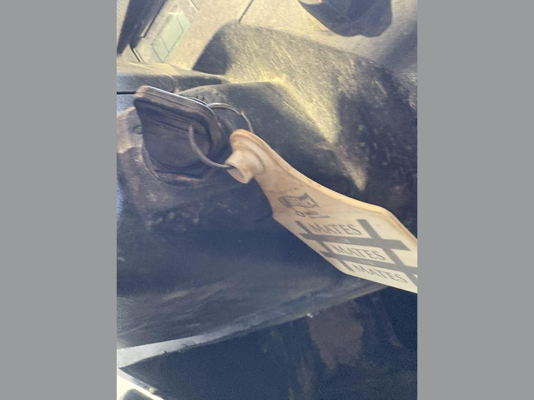 Photo '9' of Honda Pioneer 1000