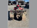Thumbnail '4' of Honda TRX 520 FM6
