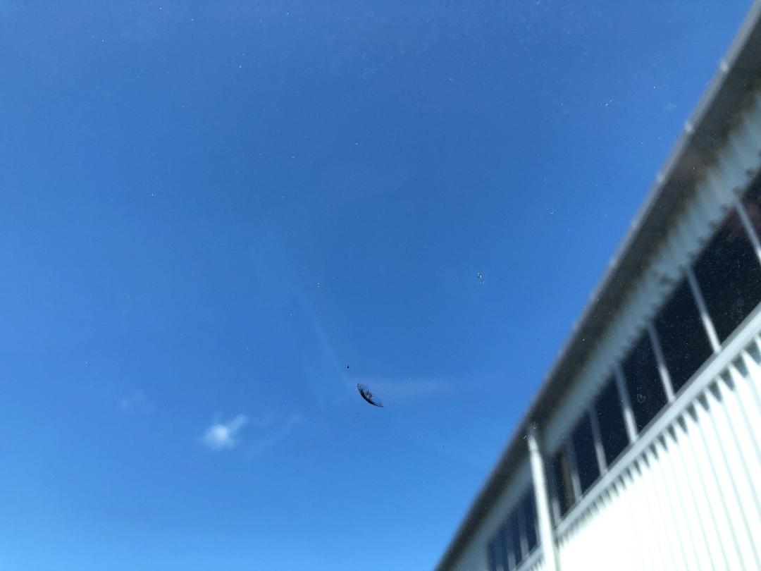 Photo '21' of Mercedes-Benz Sprinter 314 MWB Minibus ACC