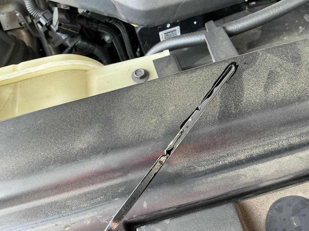 Photo '12' of Nissan Navara ST-X