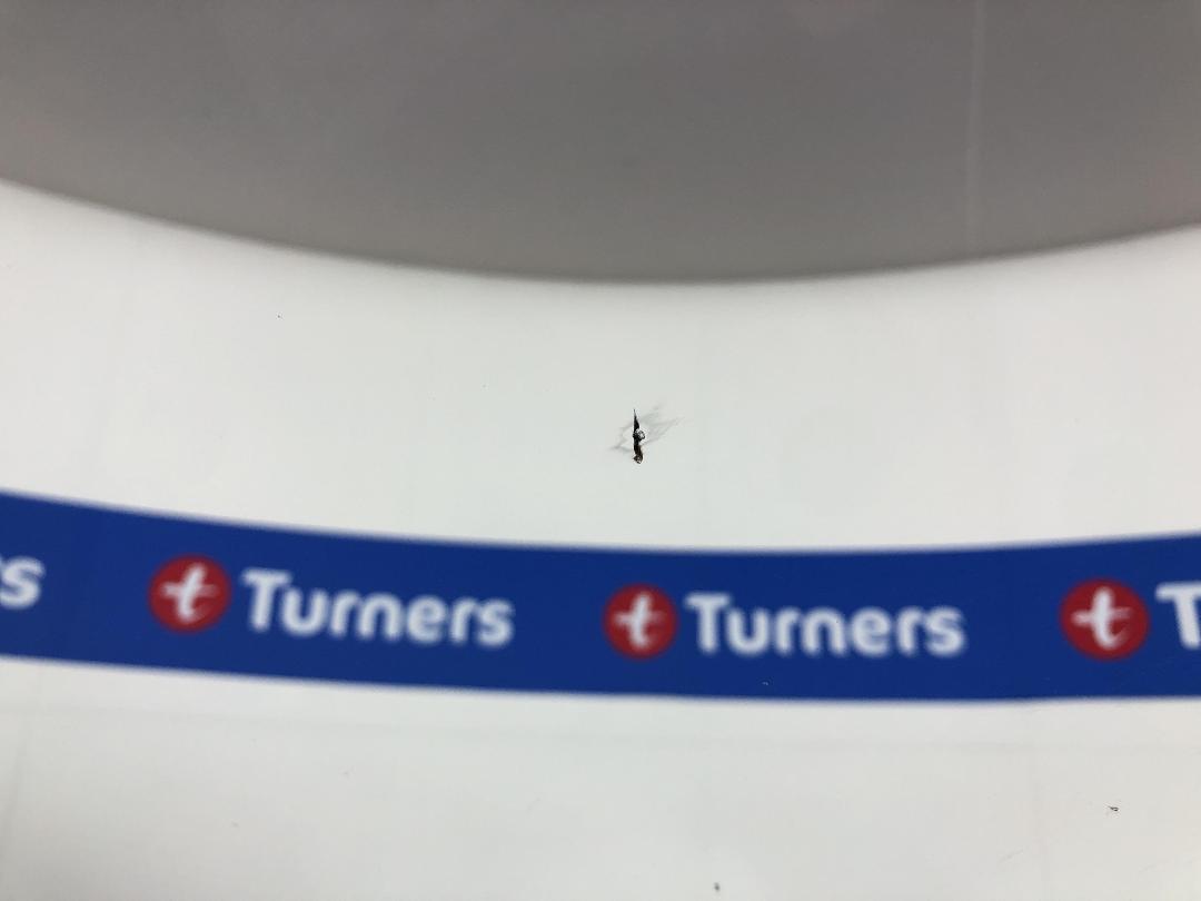 Photo '29' of Subaru Forester