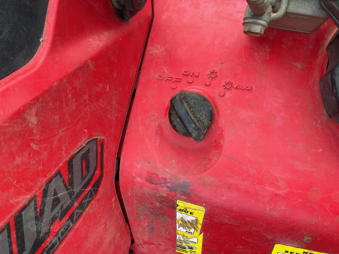 Photo '24' of Suzuki LT-A500XPM1