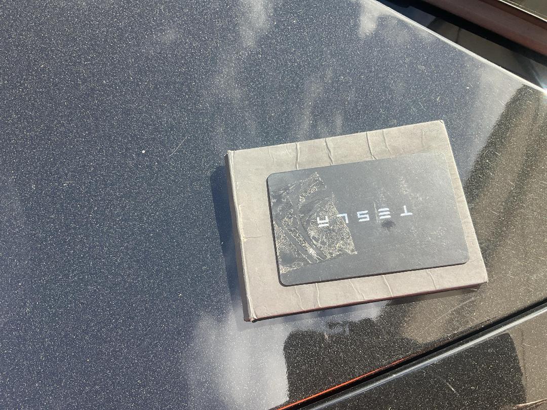 Photo '12' of Tesla Model 3 Standard Range Plus