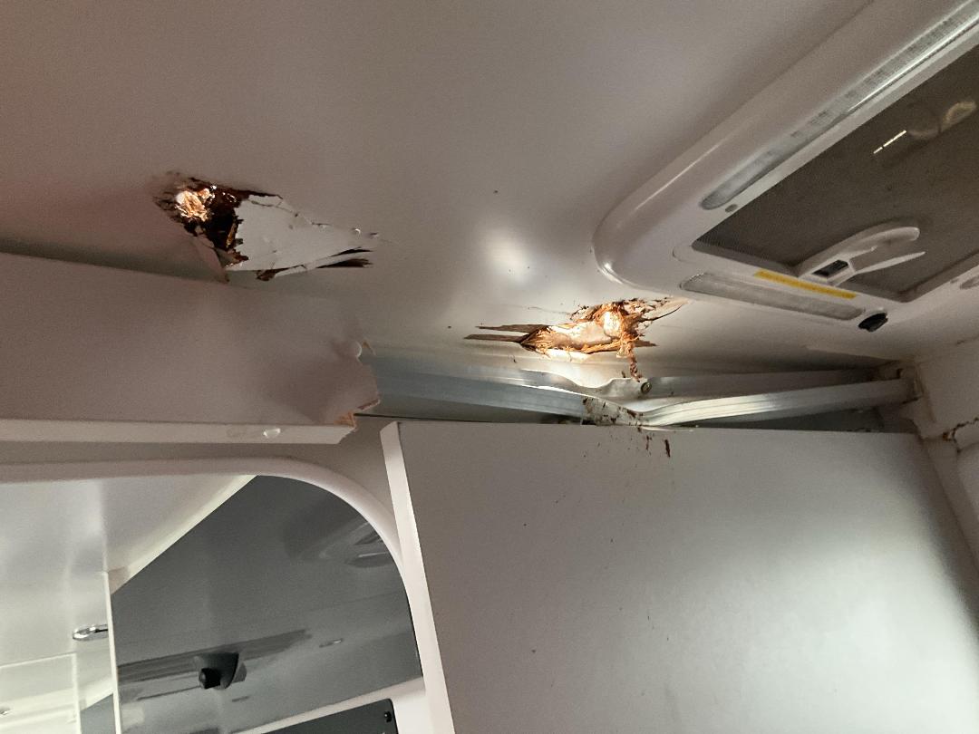 Photo '16' of CANYON VIKING XTREME Caravan - Single