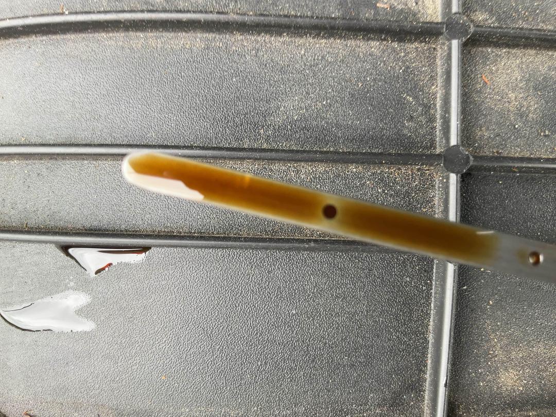 Photo '20' of Ford Escape ST-Line X Phev