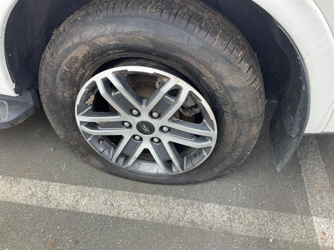 Photo '6' of Ford Everest Trend