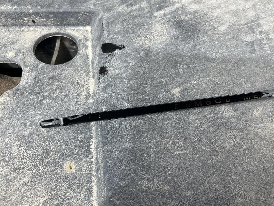 Photo '10' of Ford Everest Trend