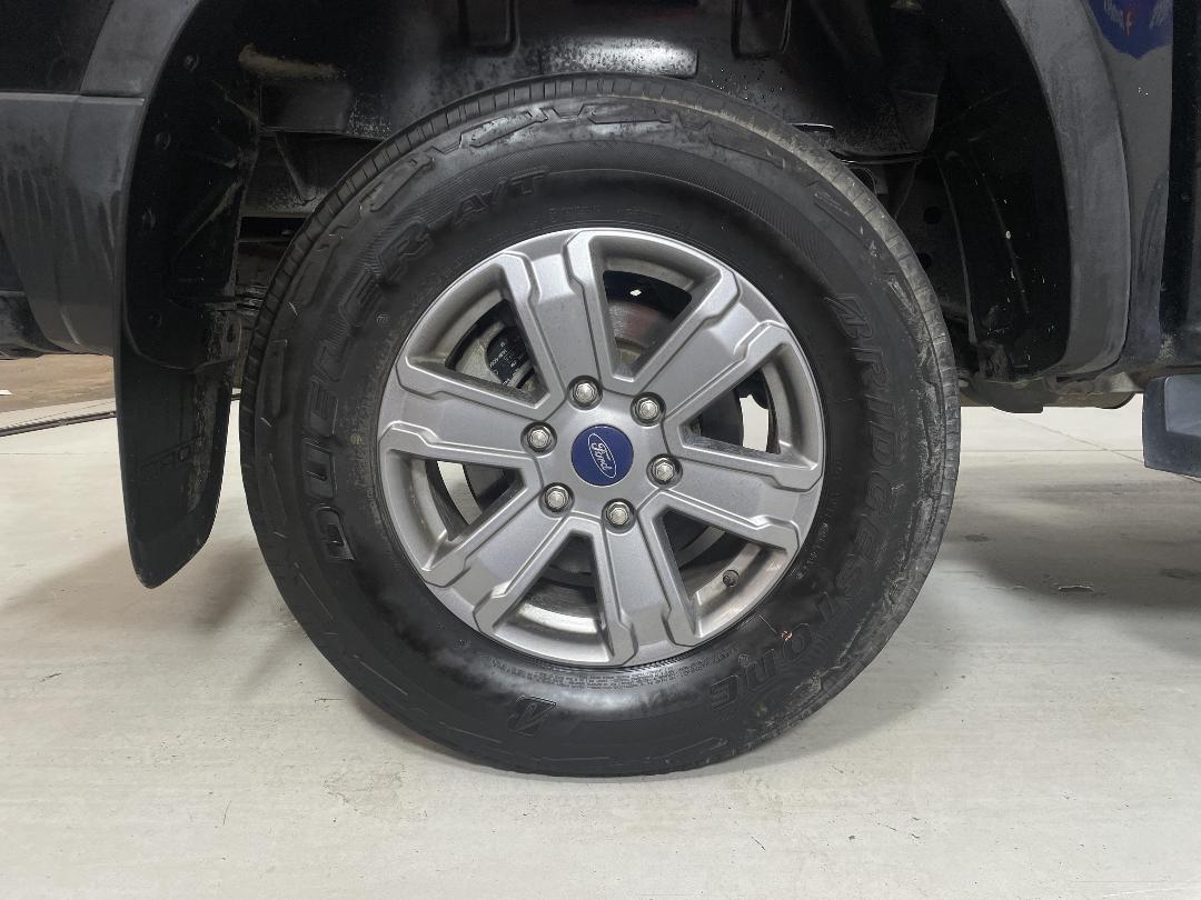 Photo '12' of Ford Ranger