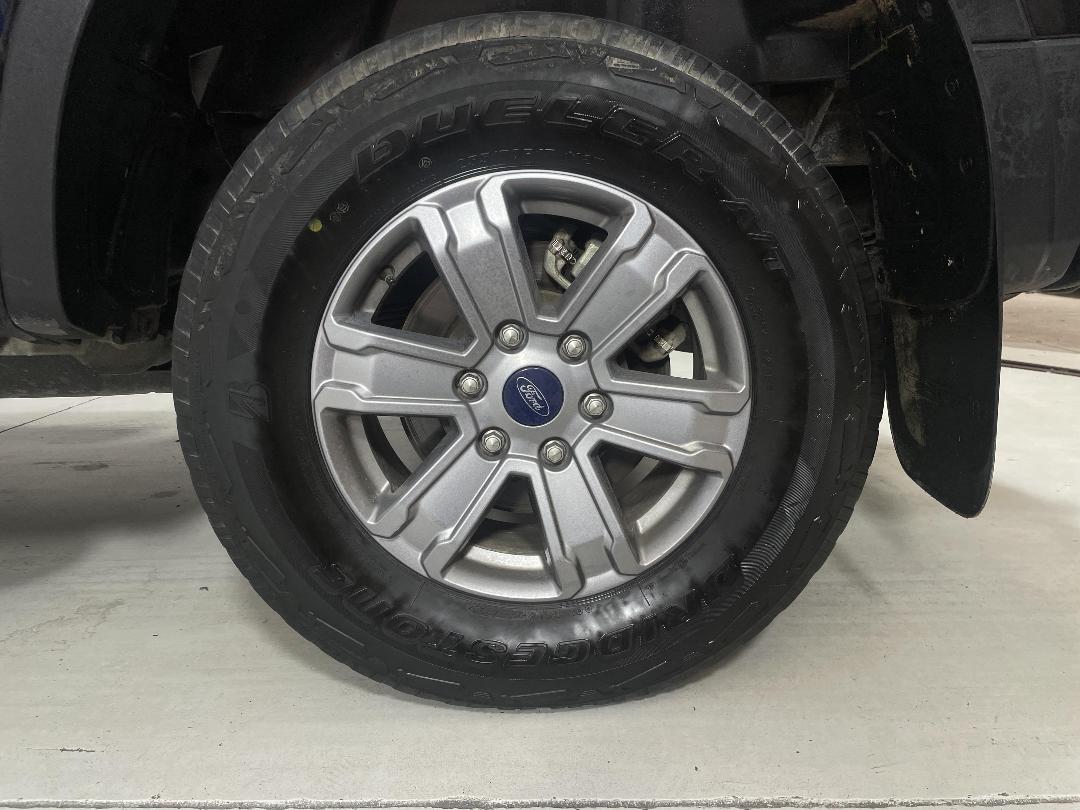 Photo '11' of Ford Ranger