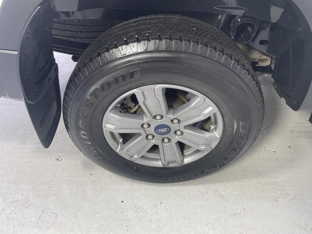 Photo '12' of Ford Ranger