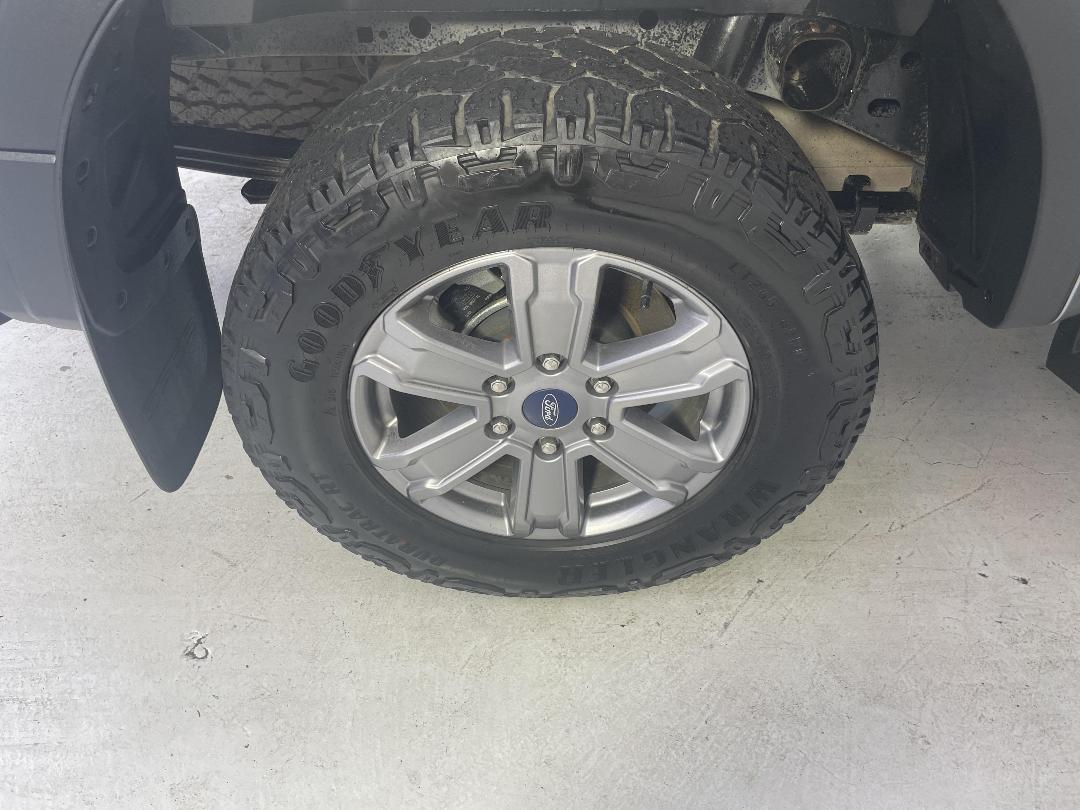 Photo '12' of Ford Ranger