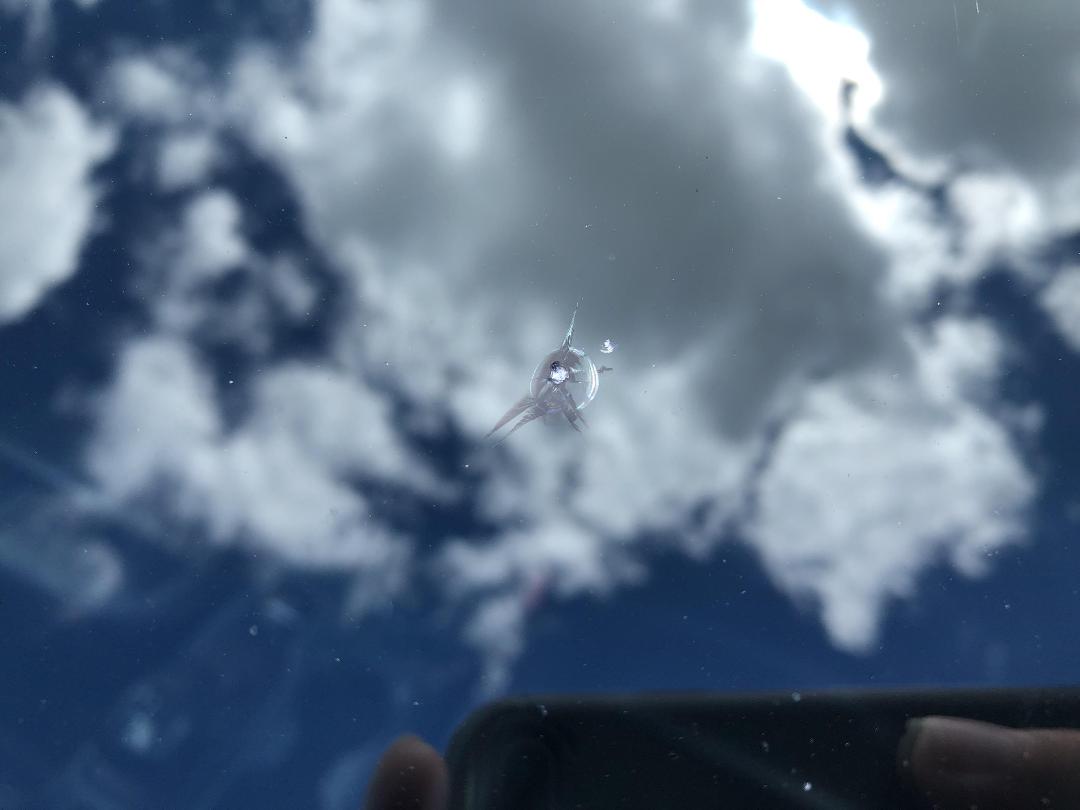 Photo '23' of Ford Ranger