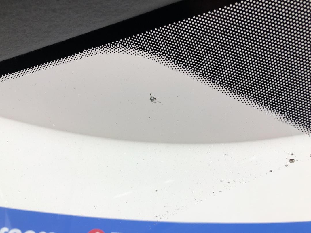 Photo '25' of Ford Ranger