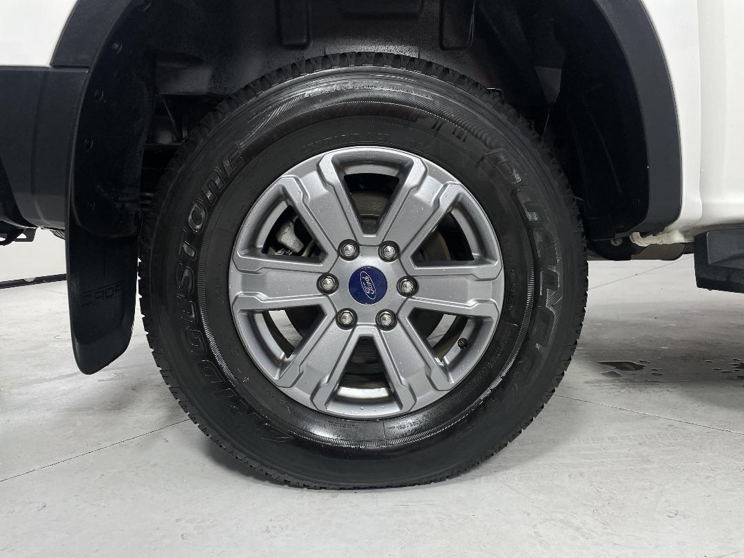 Photo '12' of Ford Ranger