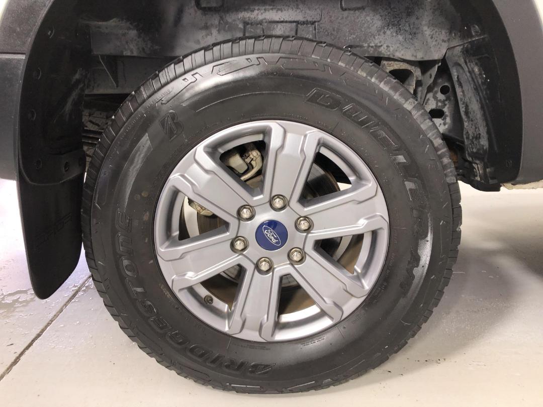 Photo '12' of Ford Ranger