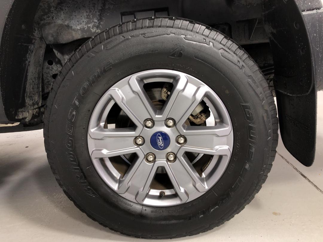 Photo '11' of Ford Ranger