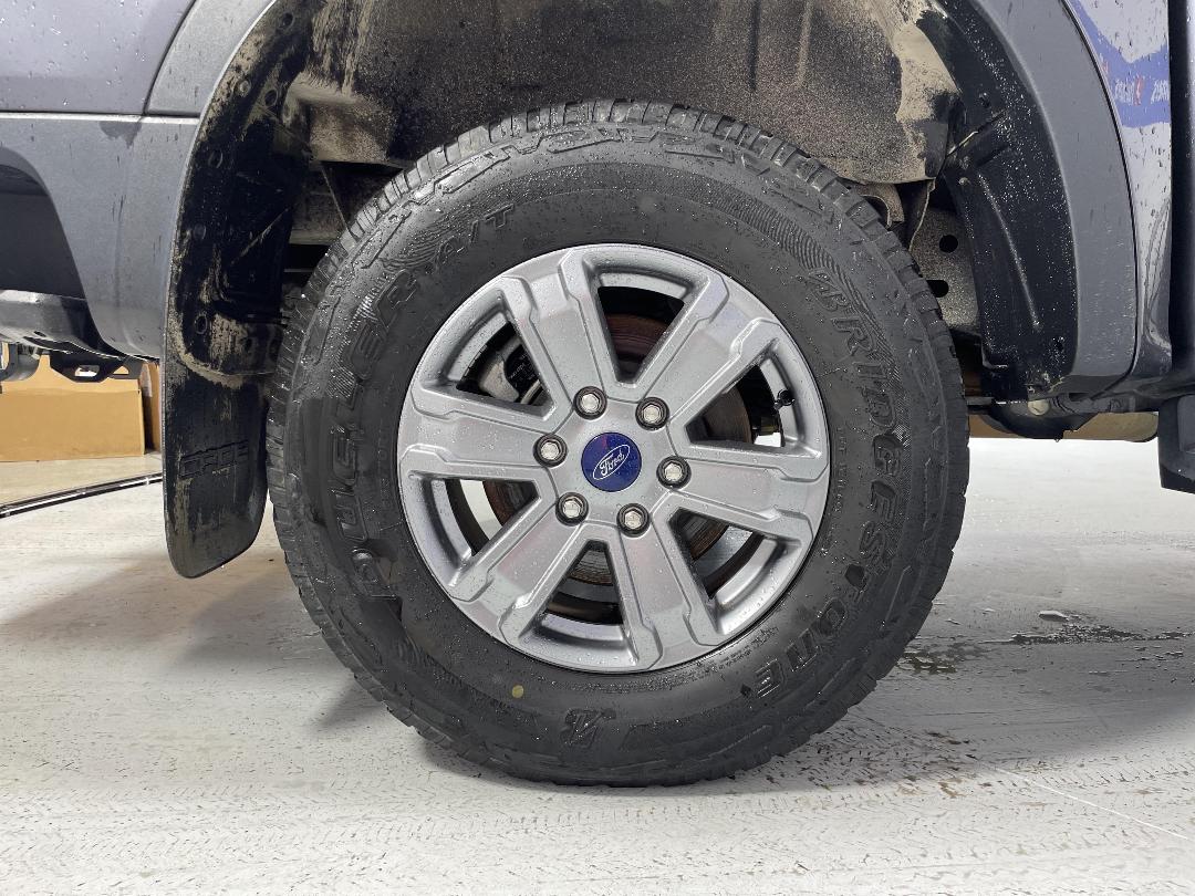 Photo '12' of Ford Ranger