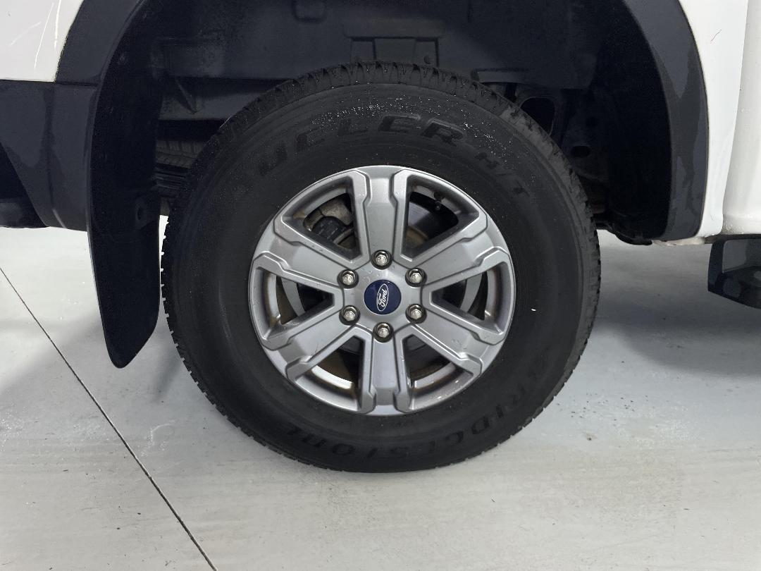 Photo '12' of Ford Ranger