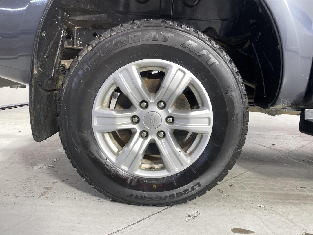 Photo '12' of Ford Ranger