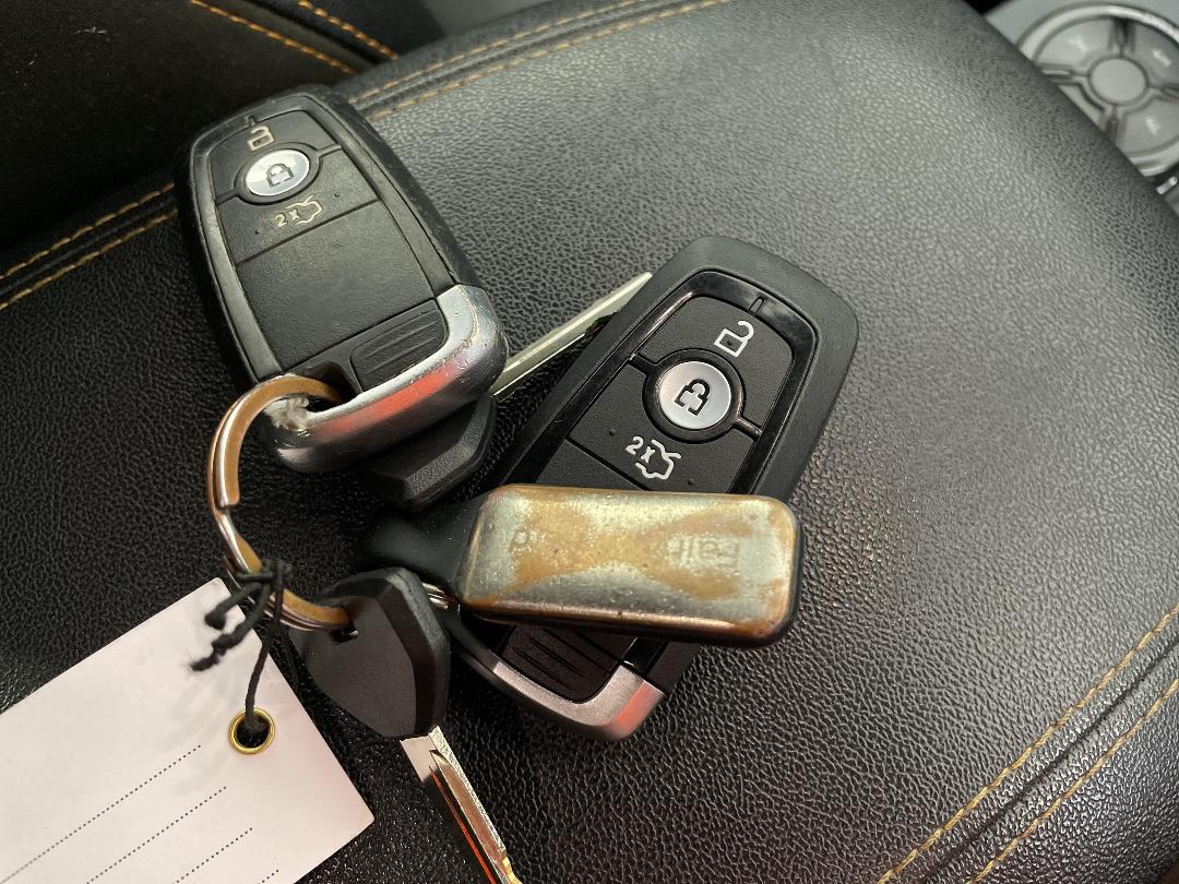 Photo '22' of Ford Ranger Photo '22' of Ford Ranger